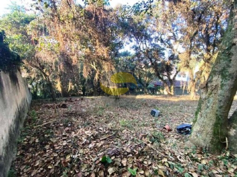 Terreno, 2334 m² - Foto 3