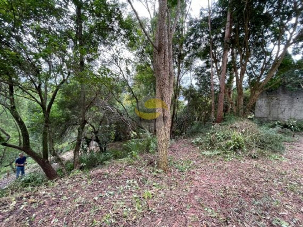 Terreno, 1207 m² - Foto 2