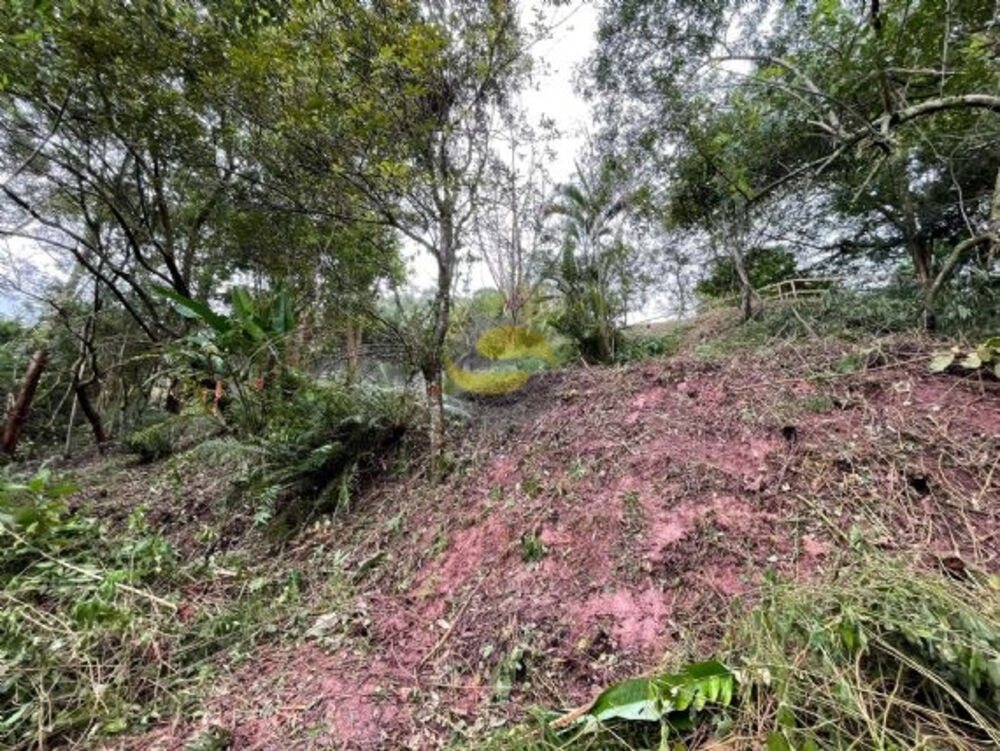 Terreno, 1207 m² - Foto 6