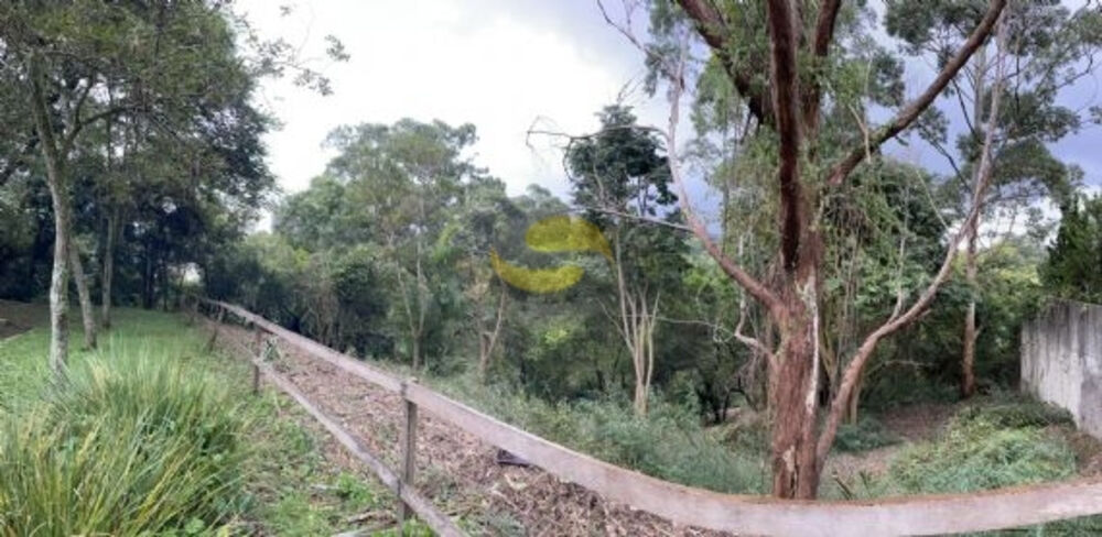 Terreno, 1207 m² - Foto 8