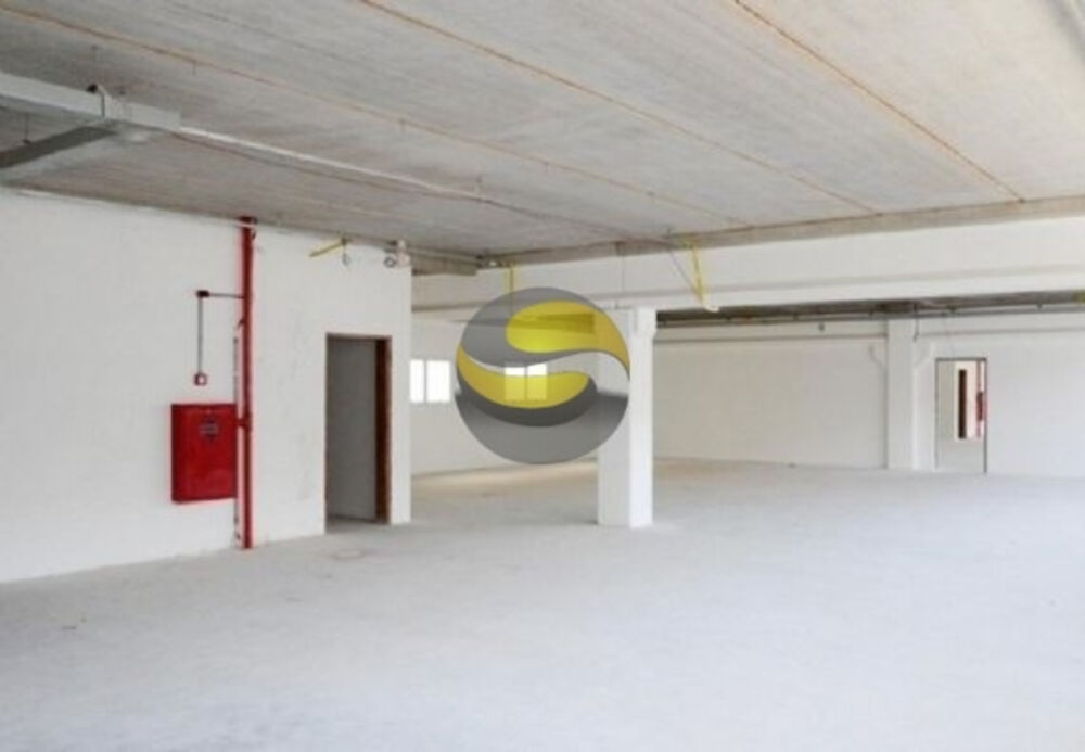 Depósito-Galpão, 2500 m² - Foto 3