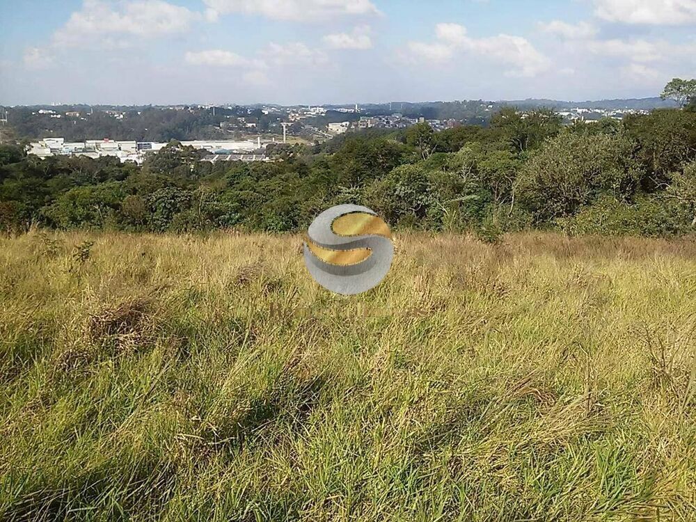 Terreno, 5000 m² - Foto 2