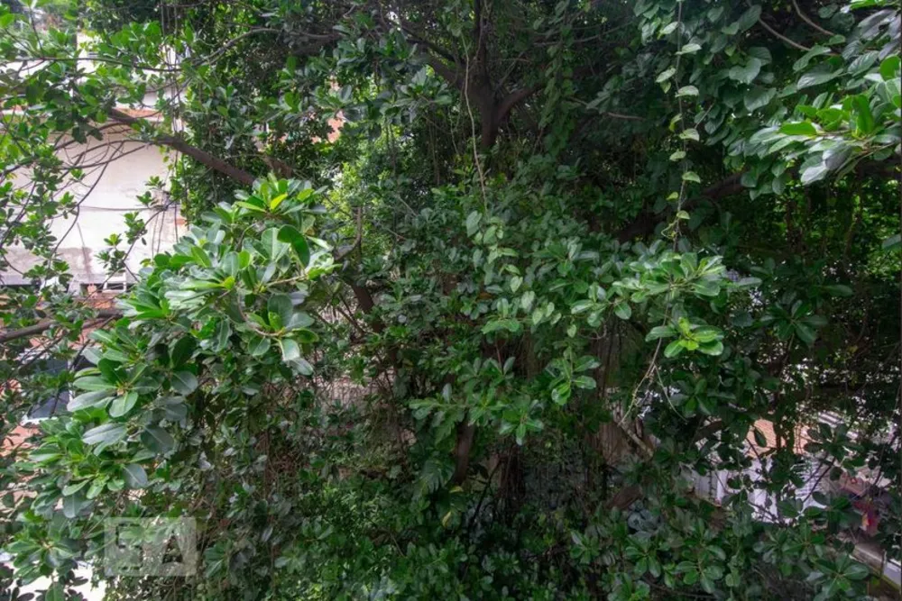 Apartamento, 3 quartos, 100 m² - Foto 6