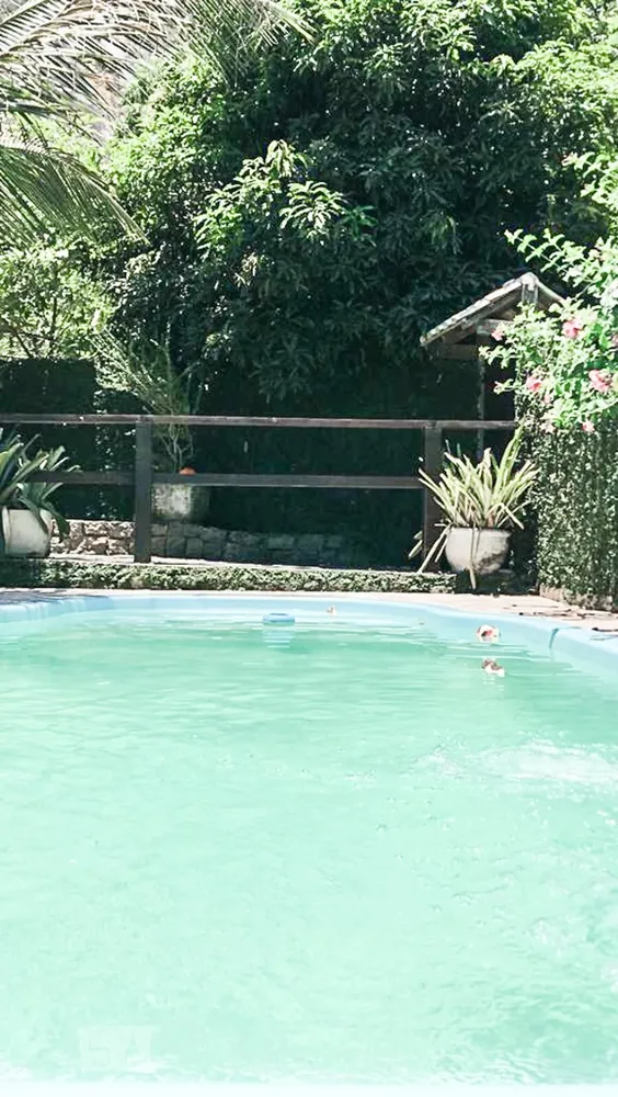 Casa, 4 quartos, 365 m² - Foto 3