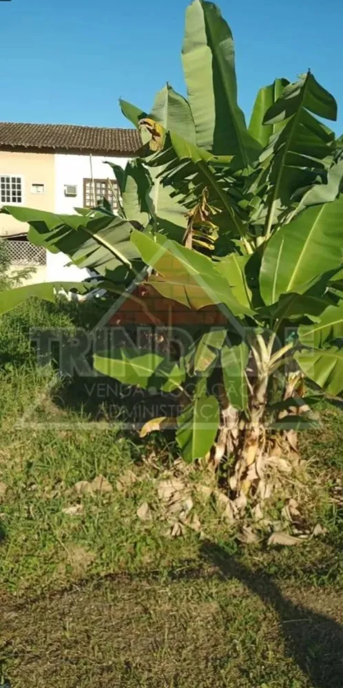 Terreno, 180 m² - Foto 4