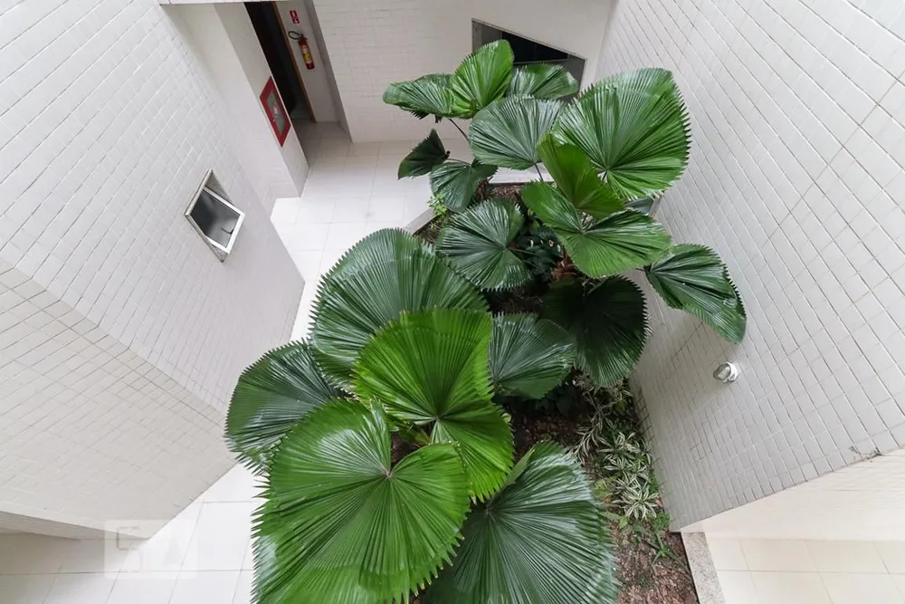 Apartamento, 3 quartos, 185 m² - Foto 35
