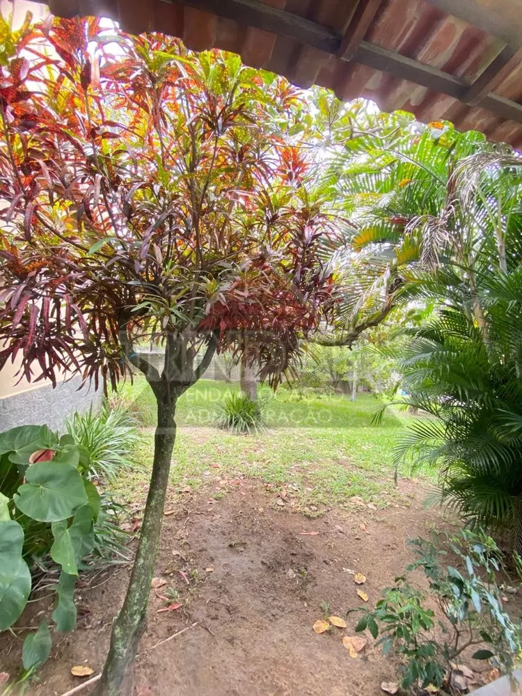 Sítio, 4 quartos, 3600 m² - Foto 2