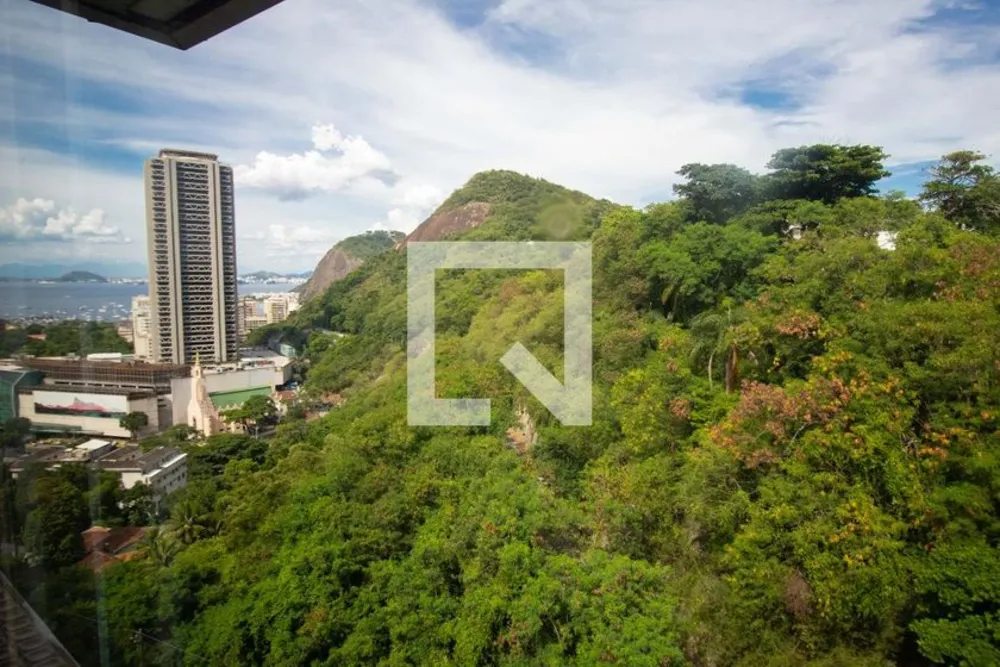 Apartamento, 4 quartos, 100 m² - Foto 5