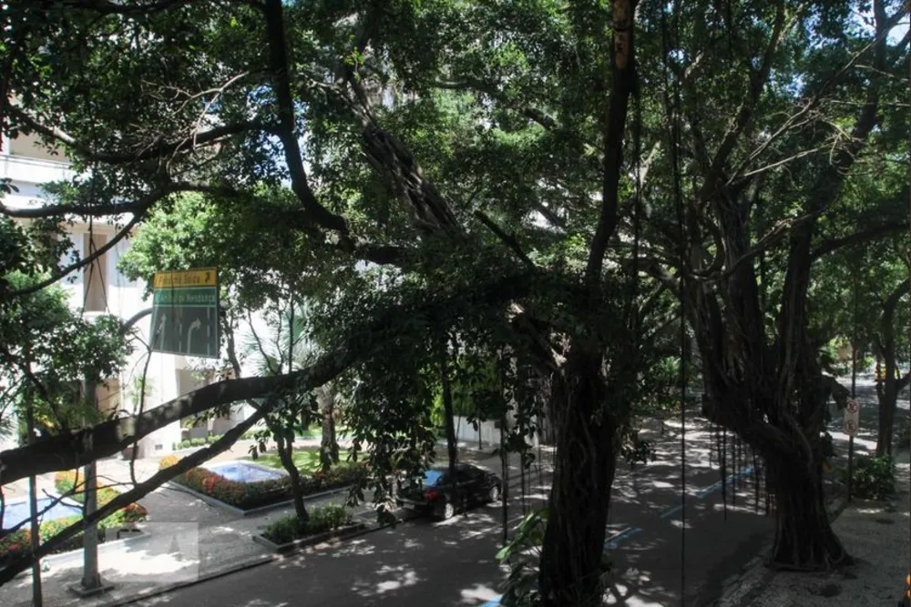 Apartamento, 3 quartos, 108 m² - Foto 10
