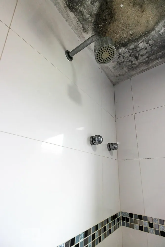 Casa, 3 quartos, 220 m² - Foto 32