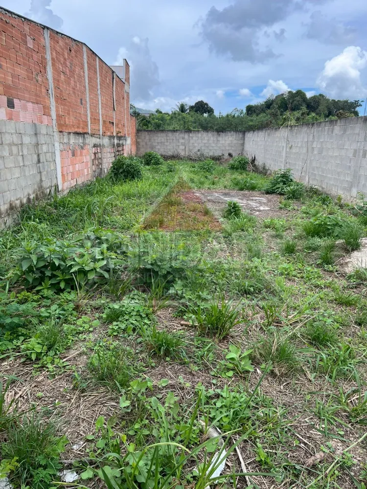 Terreno, 202 m² - Foto 6
