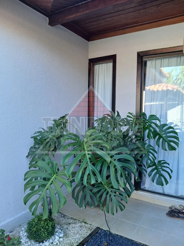 Casa, 4 quartos, 500 m² - Foto 6