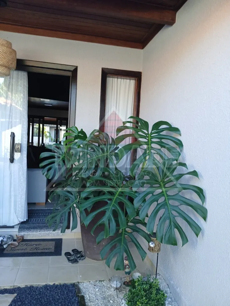 Casa, 4 quartos, 500 m² - Foto 4