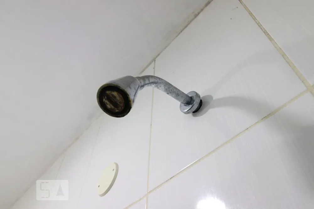 Casa, 3 quartos, 480 m² - Foto 33