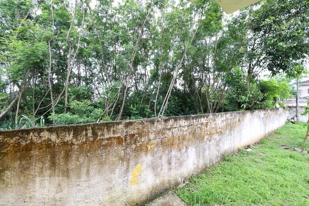 Casa, 3 quartos, 500 m² - Foto 19