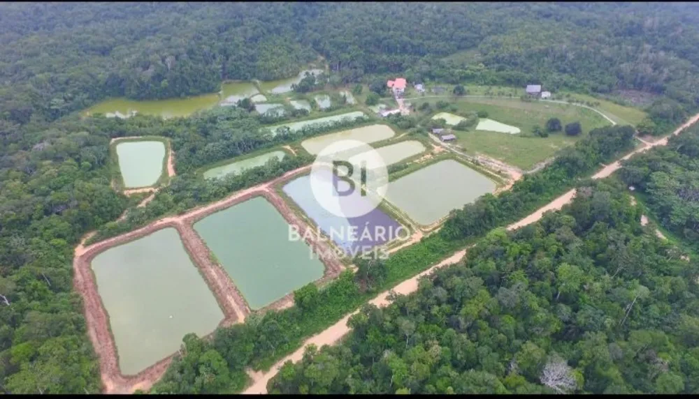 Fazenda, 43 hectares - Foto 4