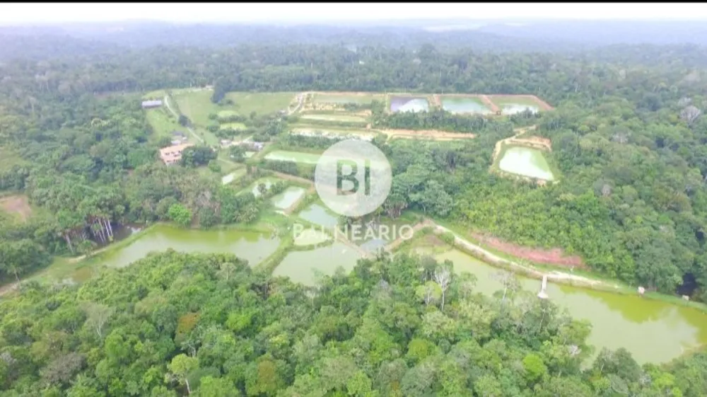 Fazenda, 43 hectares - Foto 3