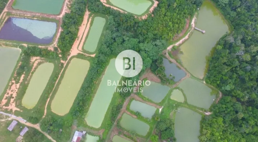 Fazenda-Sítio-Chácara, 43 hectares - Foto 1