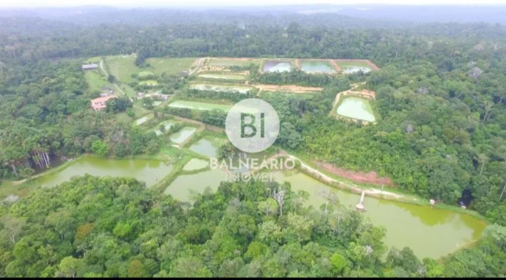 Fazenda, 43 hectares - Foto 1