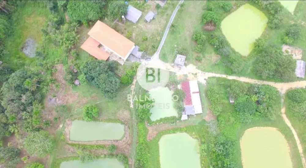 Fazenda, 43 hectares - Foto 6