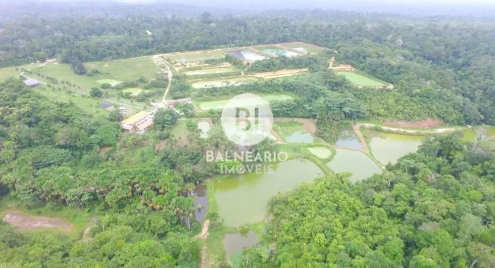 Fazenda, 43 hectares - Foto 8
