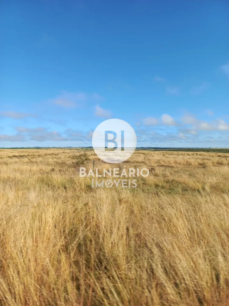 Terreno, 879 hectares - Foto 4