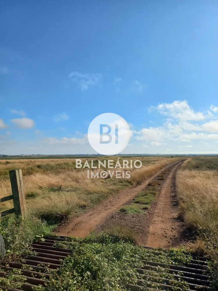 Terreno, 879 hectares - Foto 1