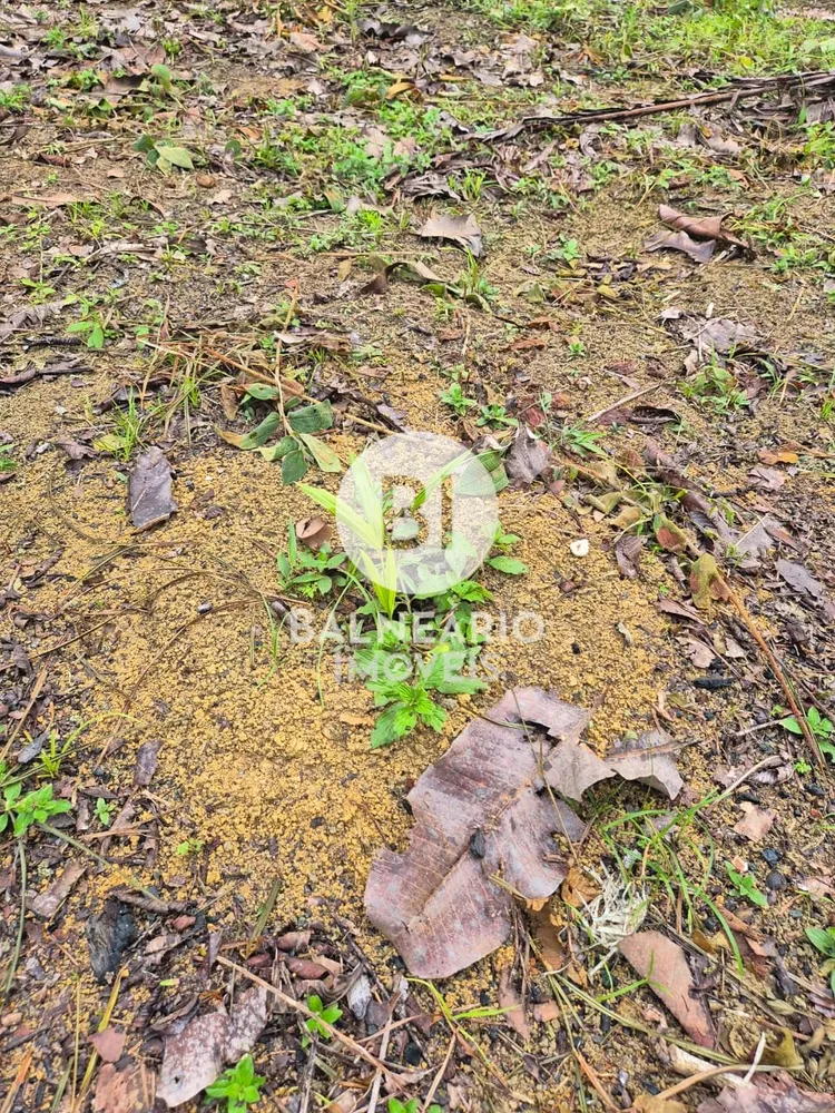 Sítio, 2 quartos - Foto 6