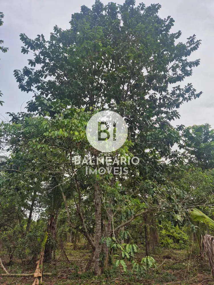 Sítio, 2 quartos - Foto 1