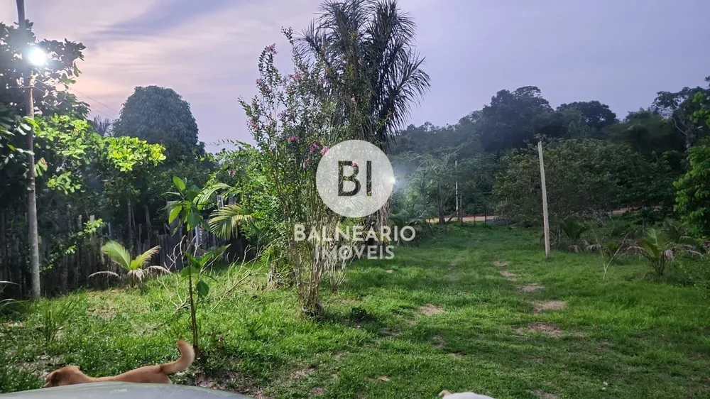 Chácara, 2 quartos, 3000 m² - Foto 8