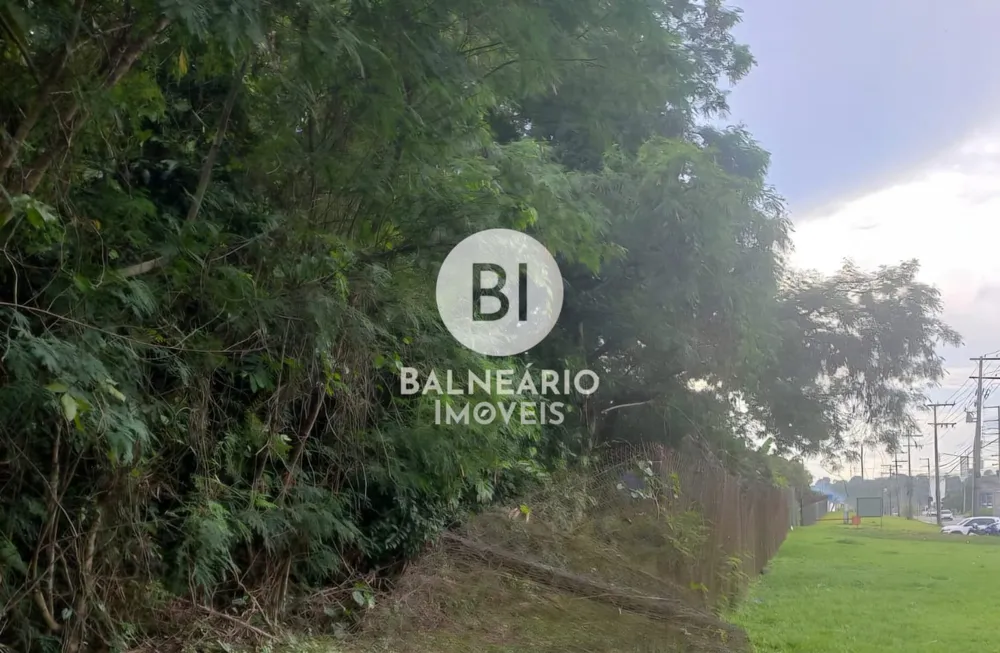 Terreno, 10000 m² - Foto 4
