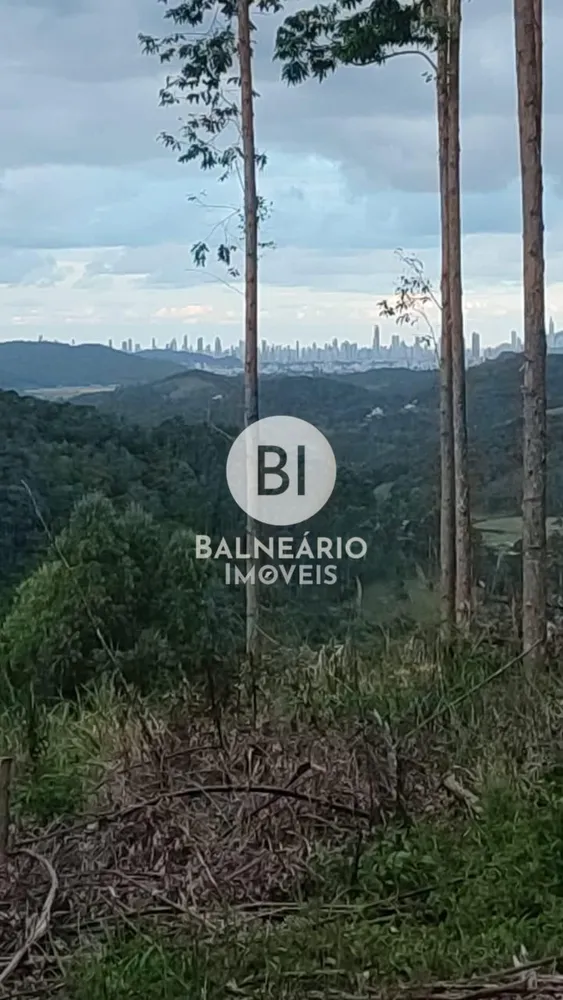 Terreno, 3000 m² - Foto 2