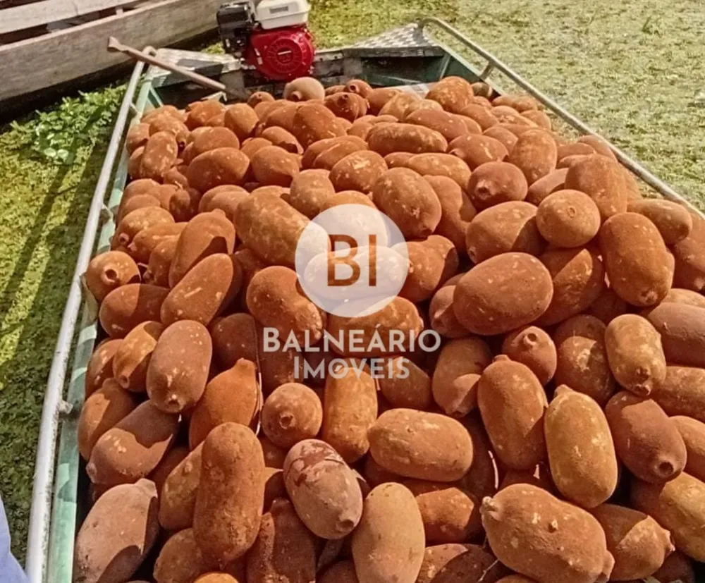 Fazenda - Foto 2