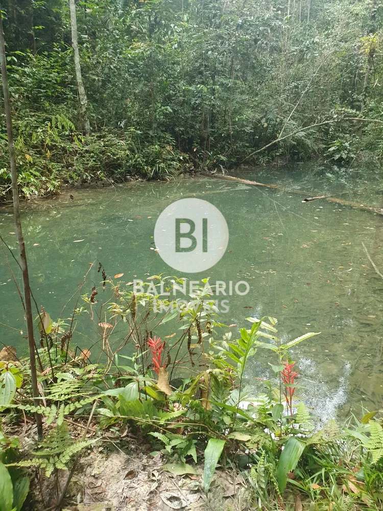 Terreno - Foto 5