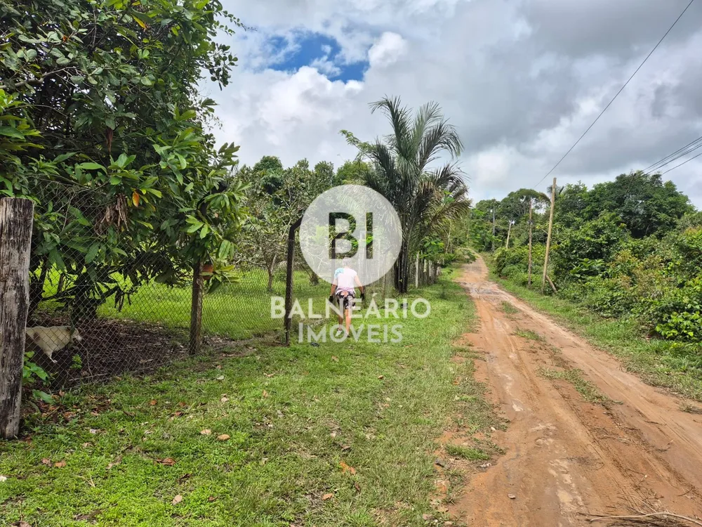 Terreno, 6000 m² - Foto 3