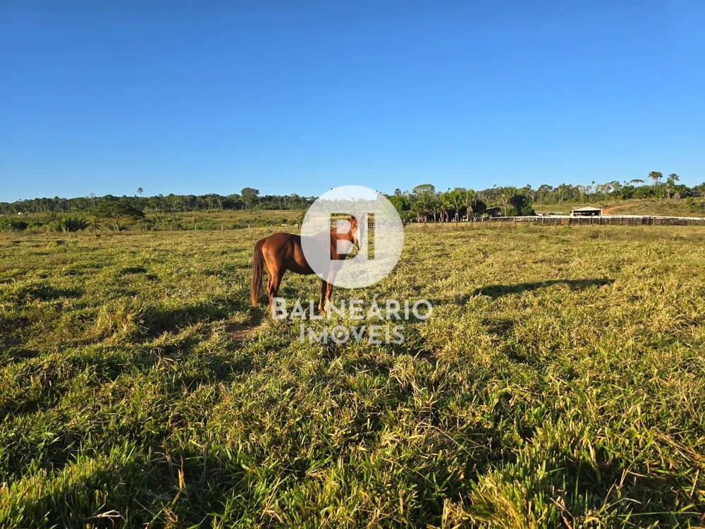 Fazenda, 1815 hectares - Foto 6
