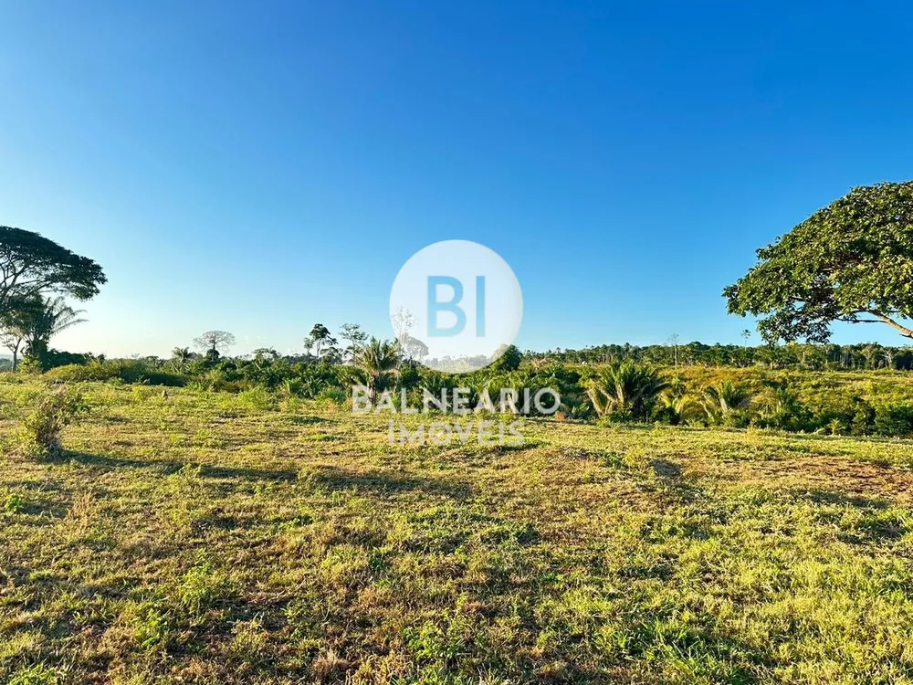 Fazenda, 1815 hectares - Foto 3