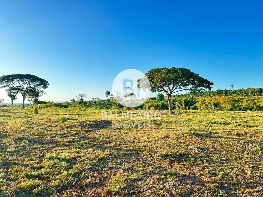 Fazenda, 1815 hectares - Foto 4
