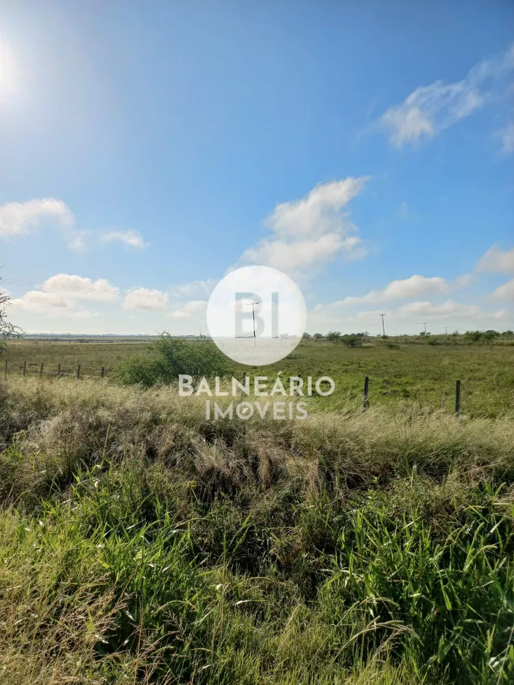 Fazenda, 179 hectares - Foto 2
