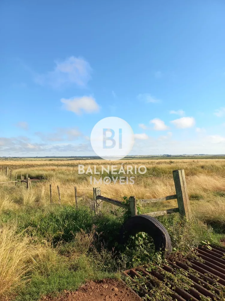 Fazenda, 179 hectares - Foto 3