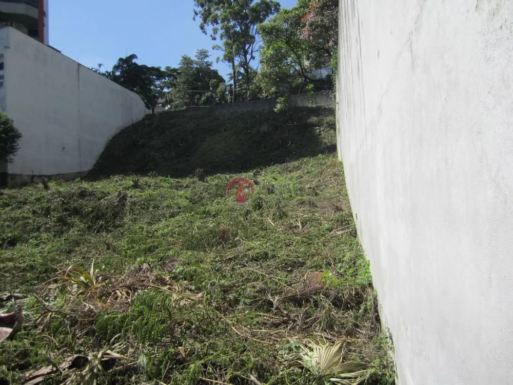 Sala-Conjunto, 2442 m² - Foto 4