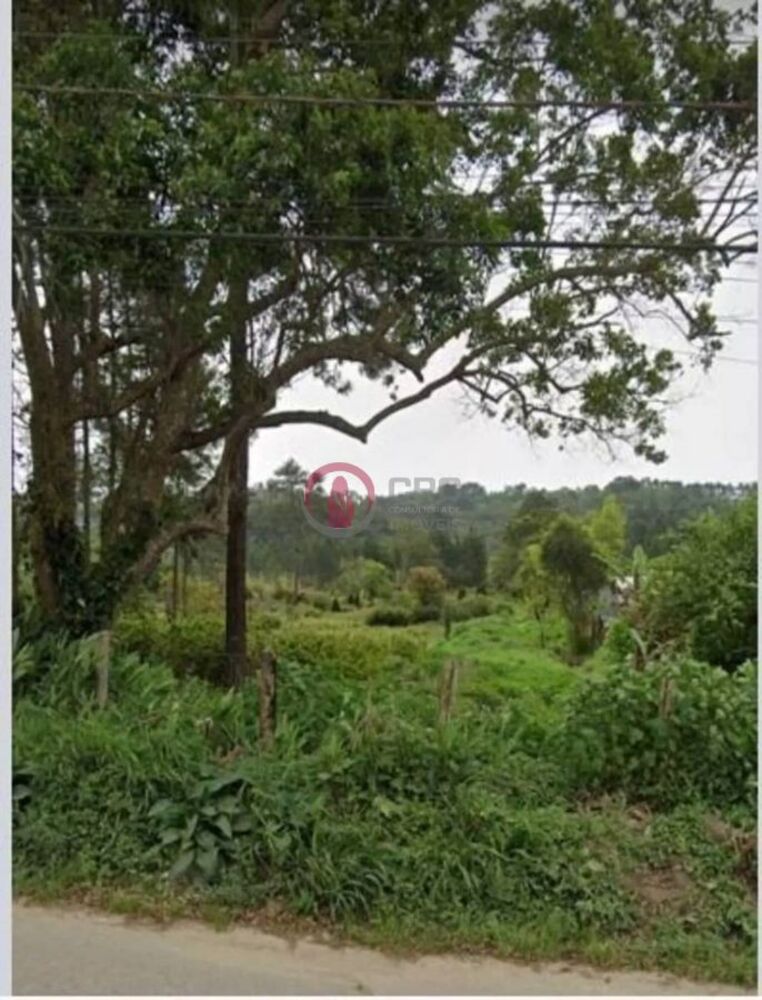 Terreno à venda, 54330m² - Foto 3