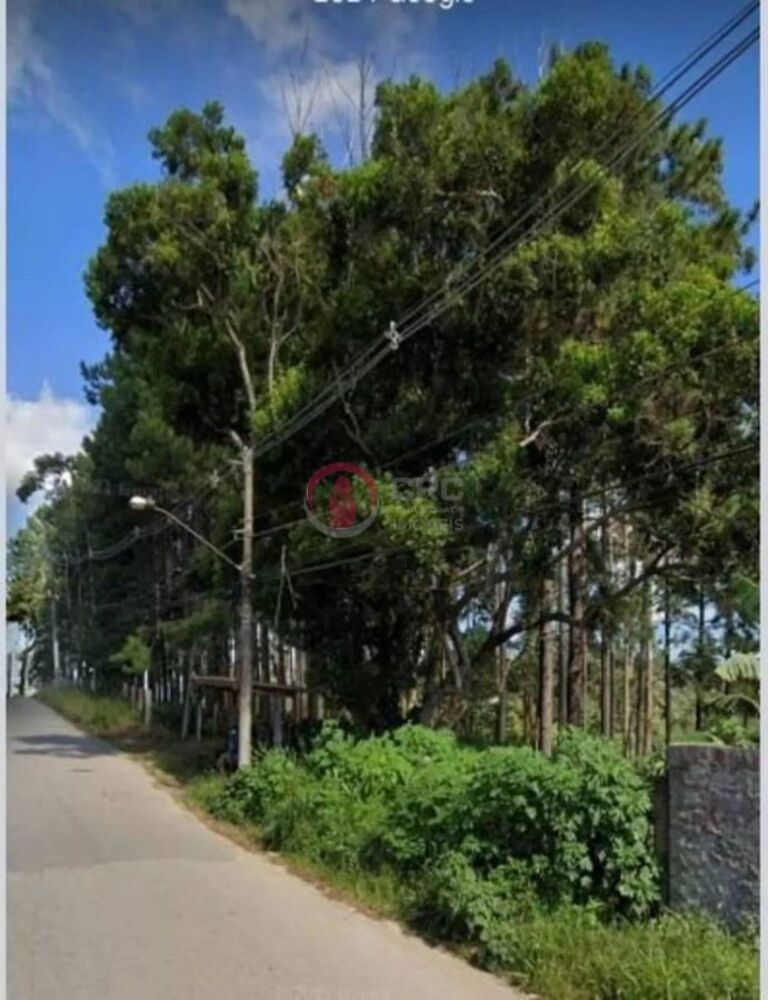 Terreno à venda, 54330m² - Foto 2