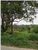 Terreno, 54330 m² - Foto 4