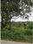 Terreno, 54330 m² - Foto 3