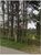 Terreno, 54330 m² - Foto 1