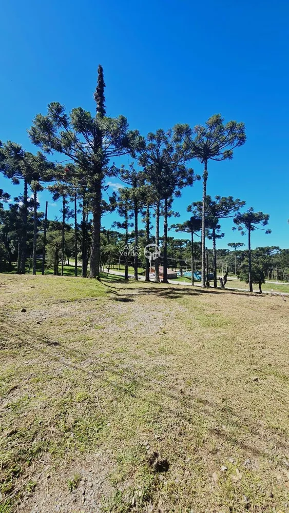 Terreno à venda, 500m² - Foto 4