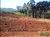 Terreno - Foto 12