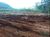 Terreno - Foto 15