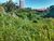 Terreno, 325 m² - Foto 3